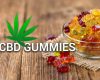 Learn More About CBD Gummies For Pain
