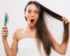Lice Removal Service: What to Expect from a Removal Service?