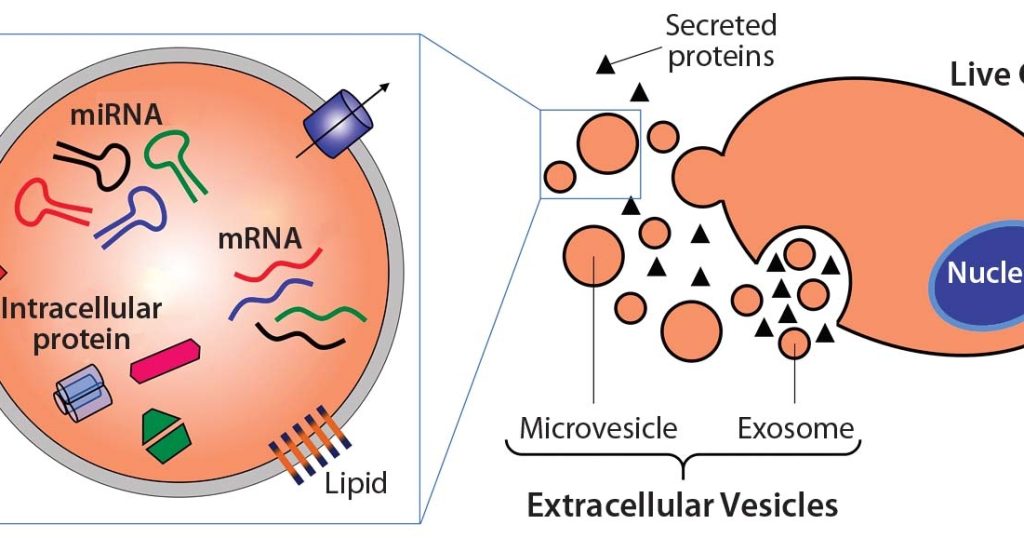 https://www.targetedbioscience.com/extracellular-vesicles-ev-isolation-kit